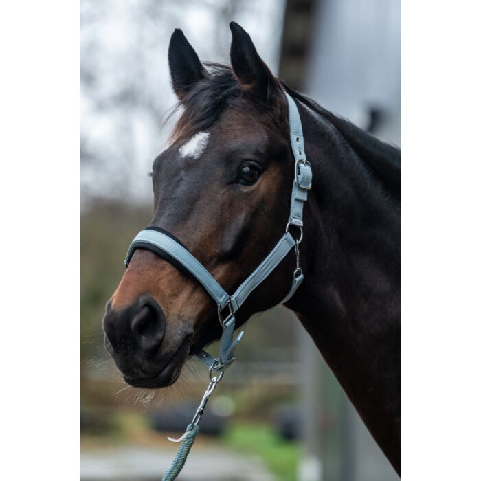 HKM Head Collar - Catherine